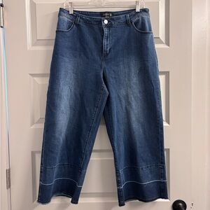 Susan Graver Women's Jeans Pants 14 Stretch Denim Dip Dye Blue Hem Fray Plus